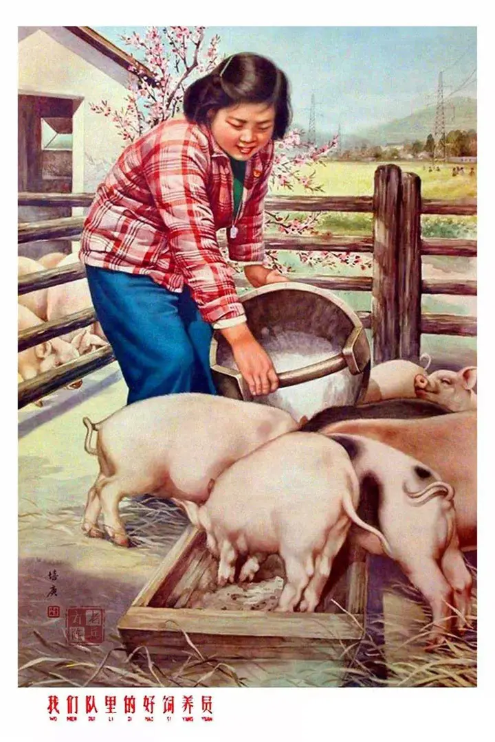 劳动-喂猪